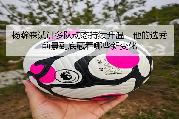 杨瀚森试训多队动态持续升温，他的选秀前景到底藏着哪些新变化